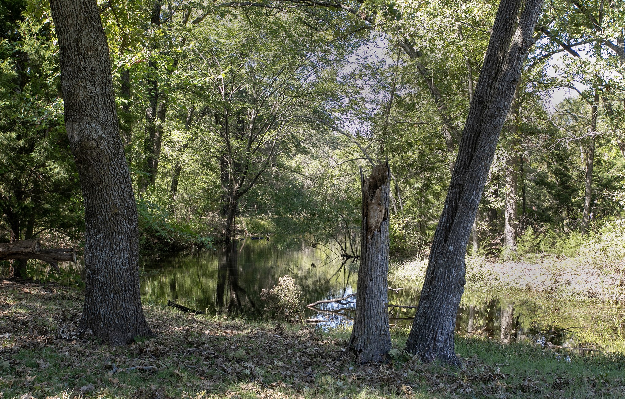 16300 County Road 255 Poetry TX 75160