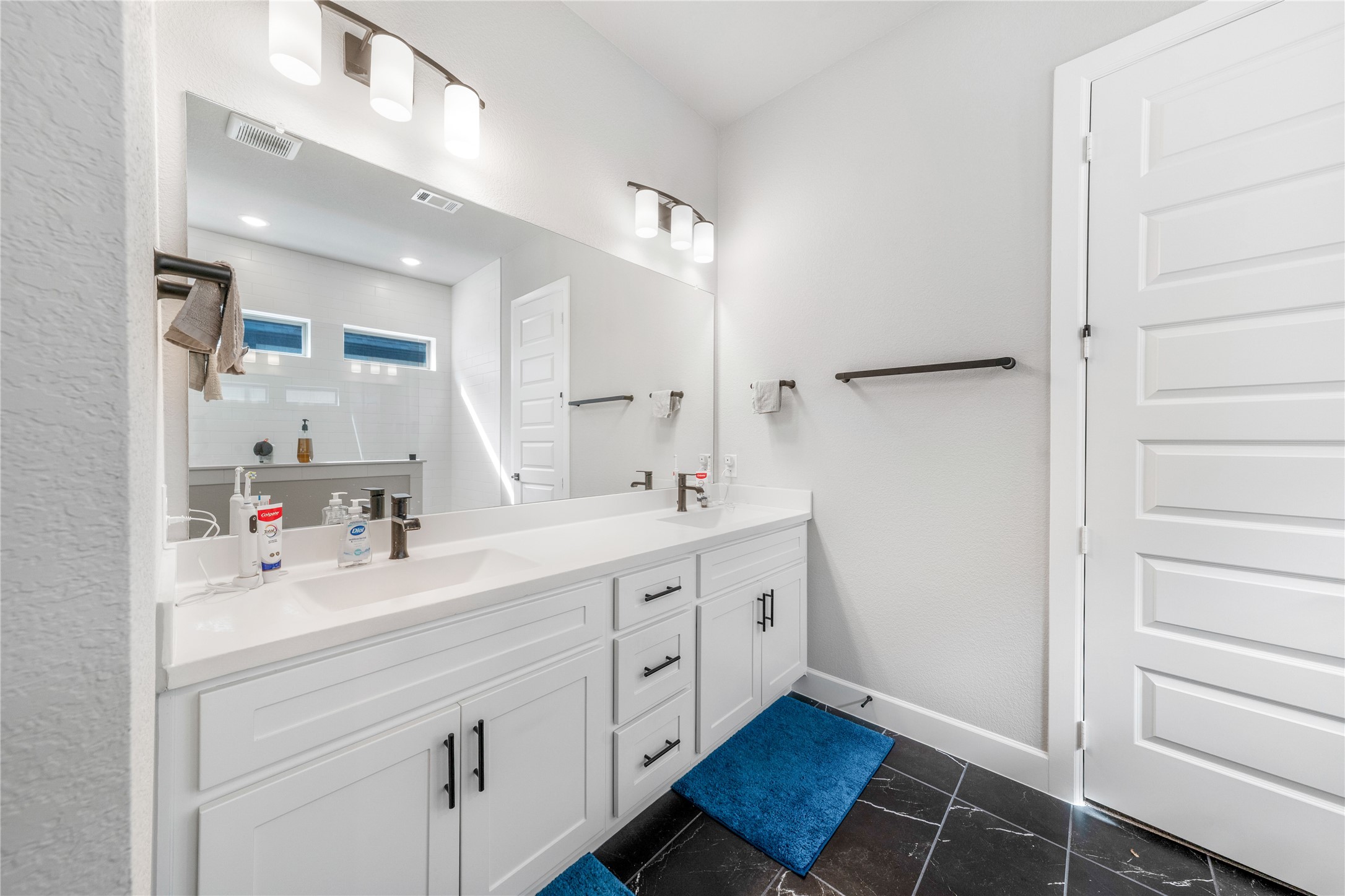 6325 Camey Place Way The Colony TX 75056