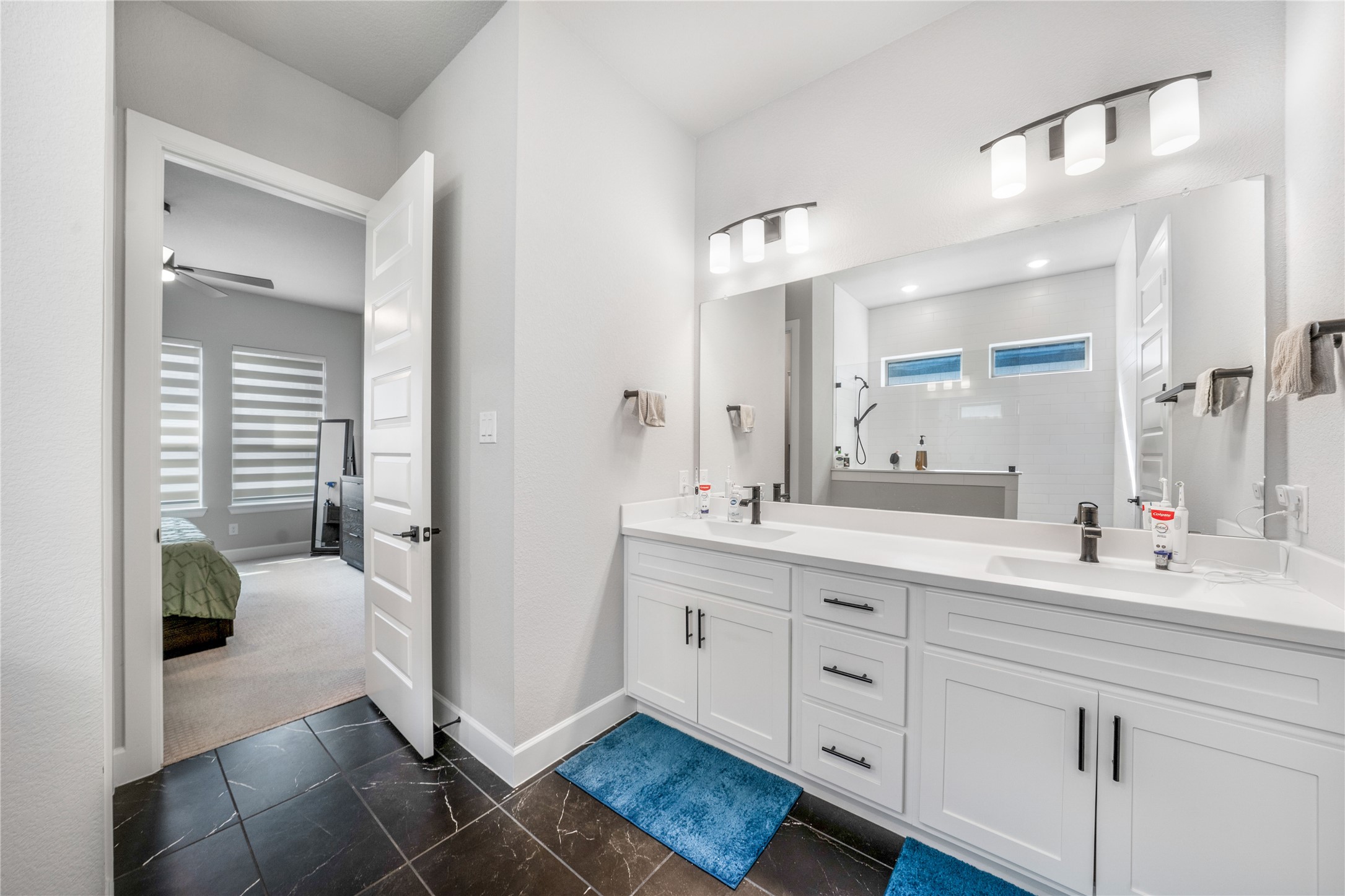 6325 Camey Place Way The Colony TX 75056