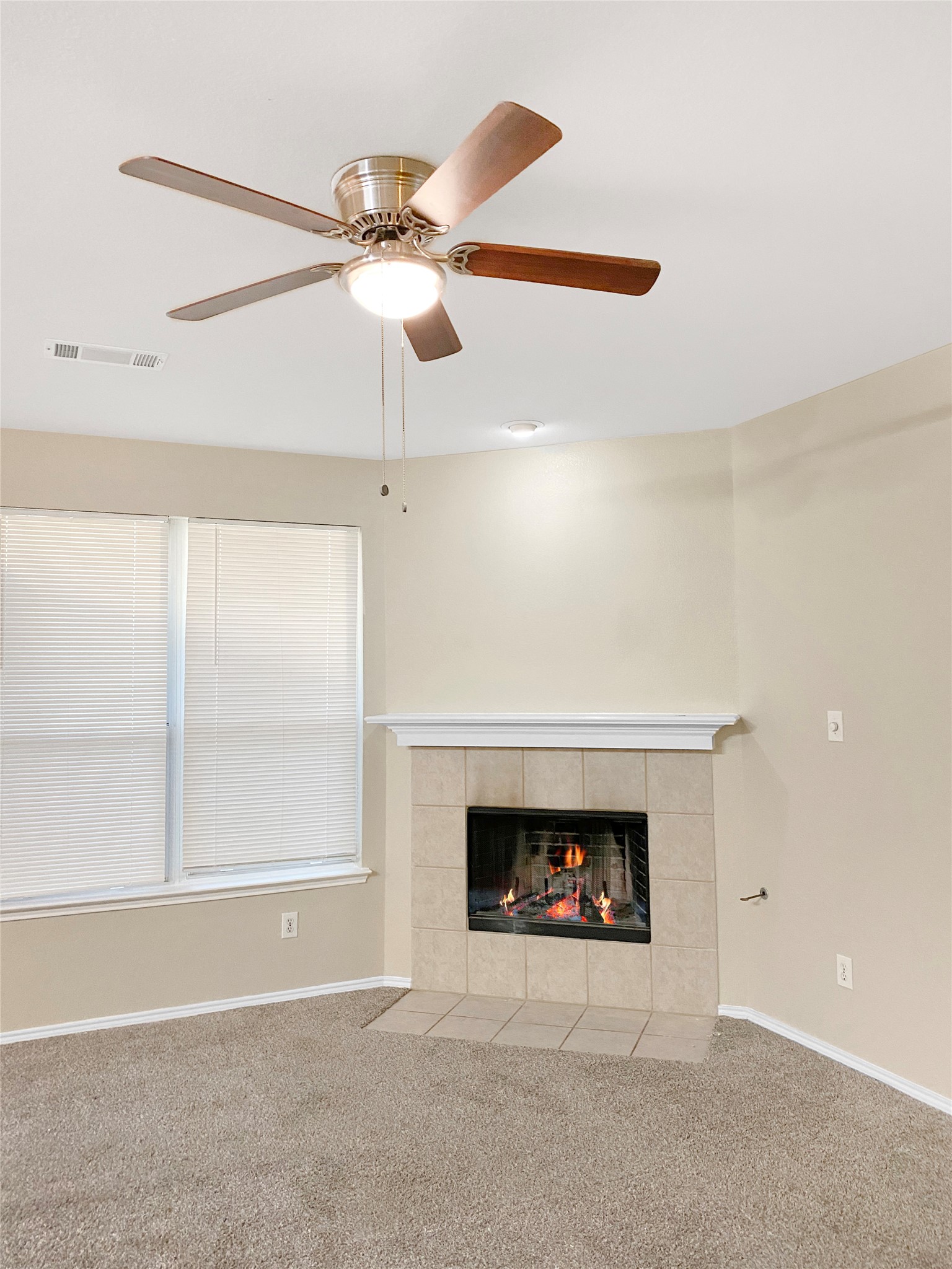 7221 Lindentree Lane Fort Worth TX 76137