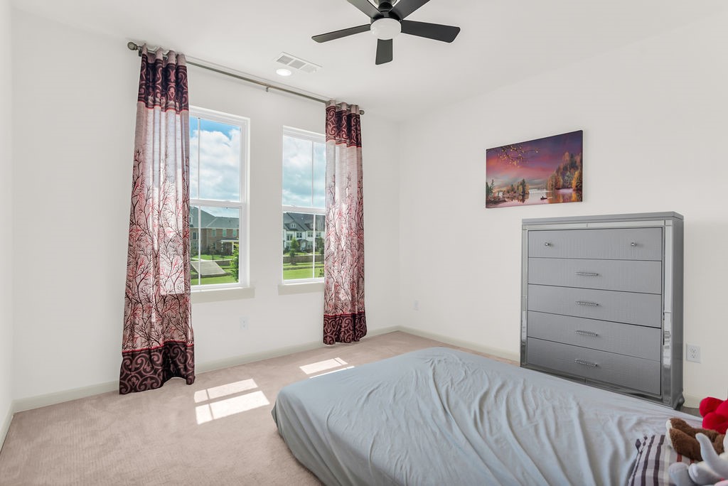 8869 Bailey Street Frisco TX 75035