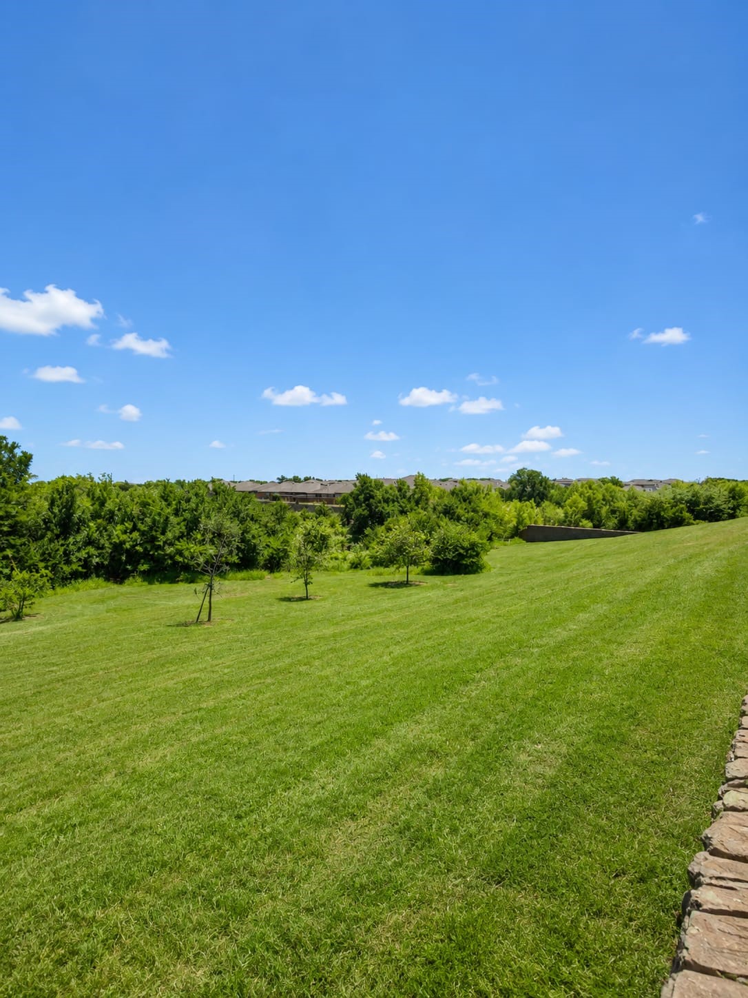 1124 Rountree Court Celina TX 75009
