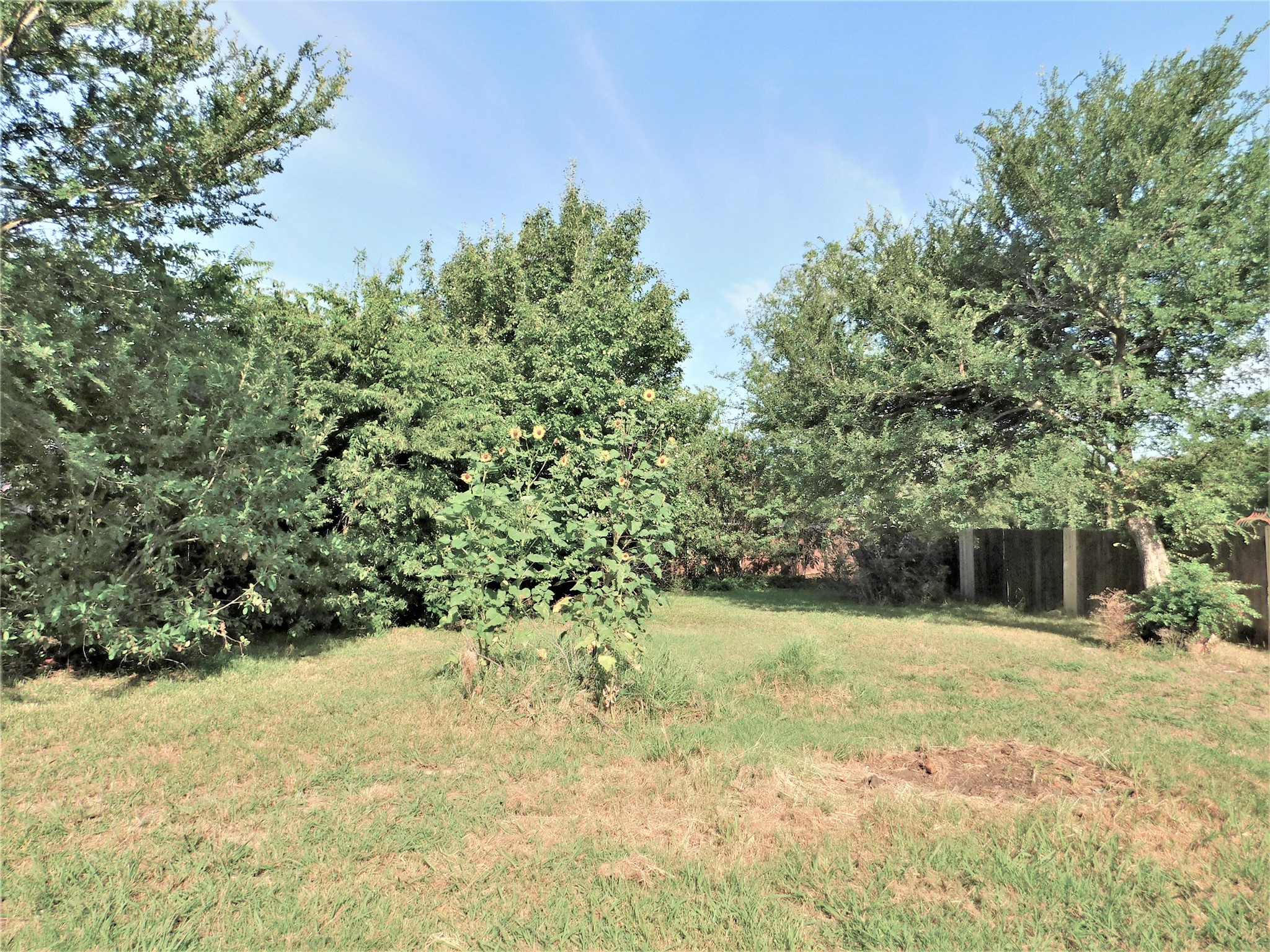 3721 Calvert Lane Denton TX 76208