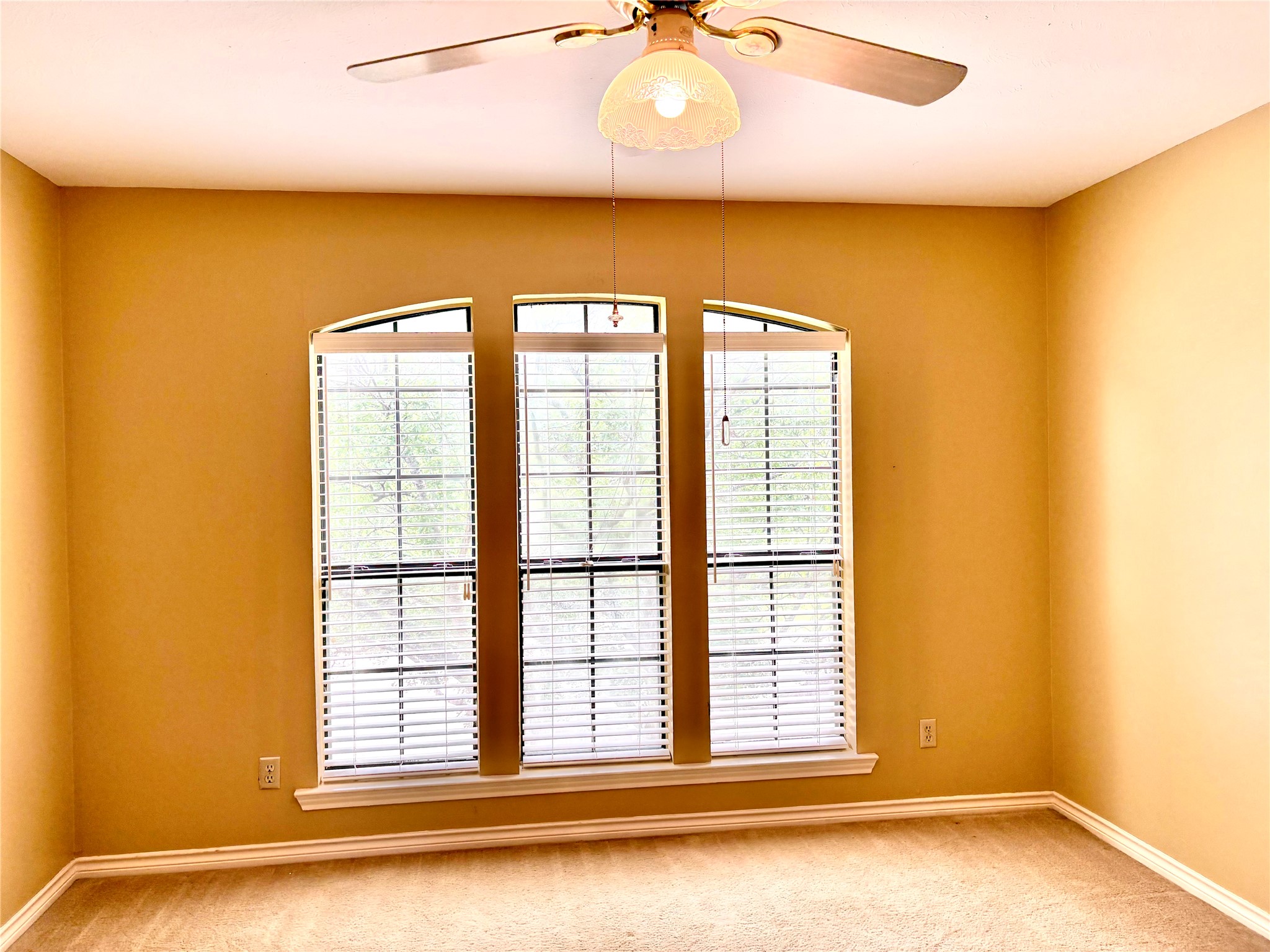 3117 Sandy Trail Lane Plano TX 75023