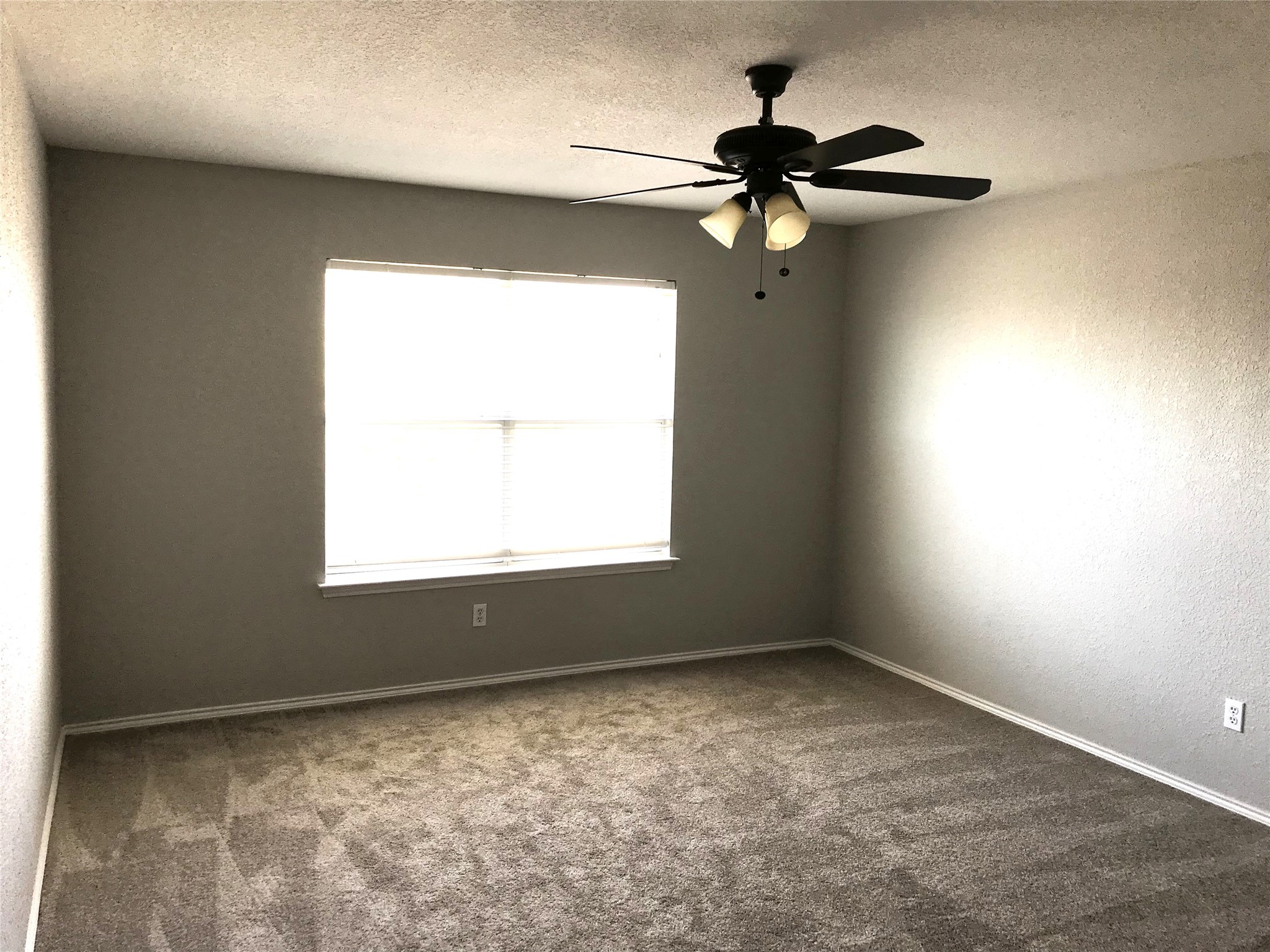 4956 Thorn Hollow Drive Fort Worth TX 76244