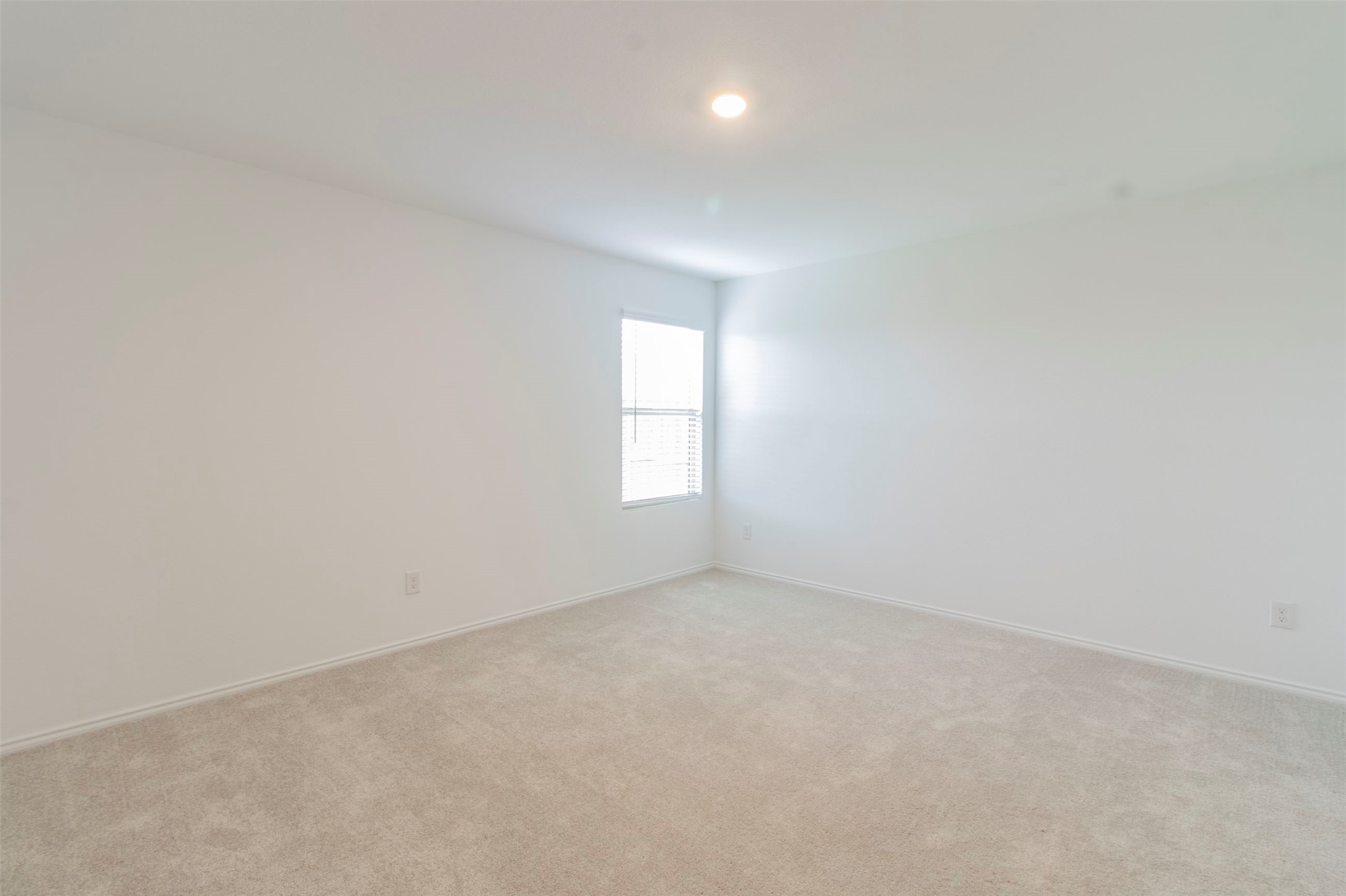 1122 Arborwood Drive Forney TX 75126