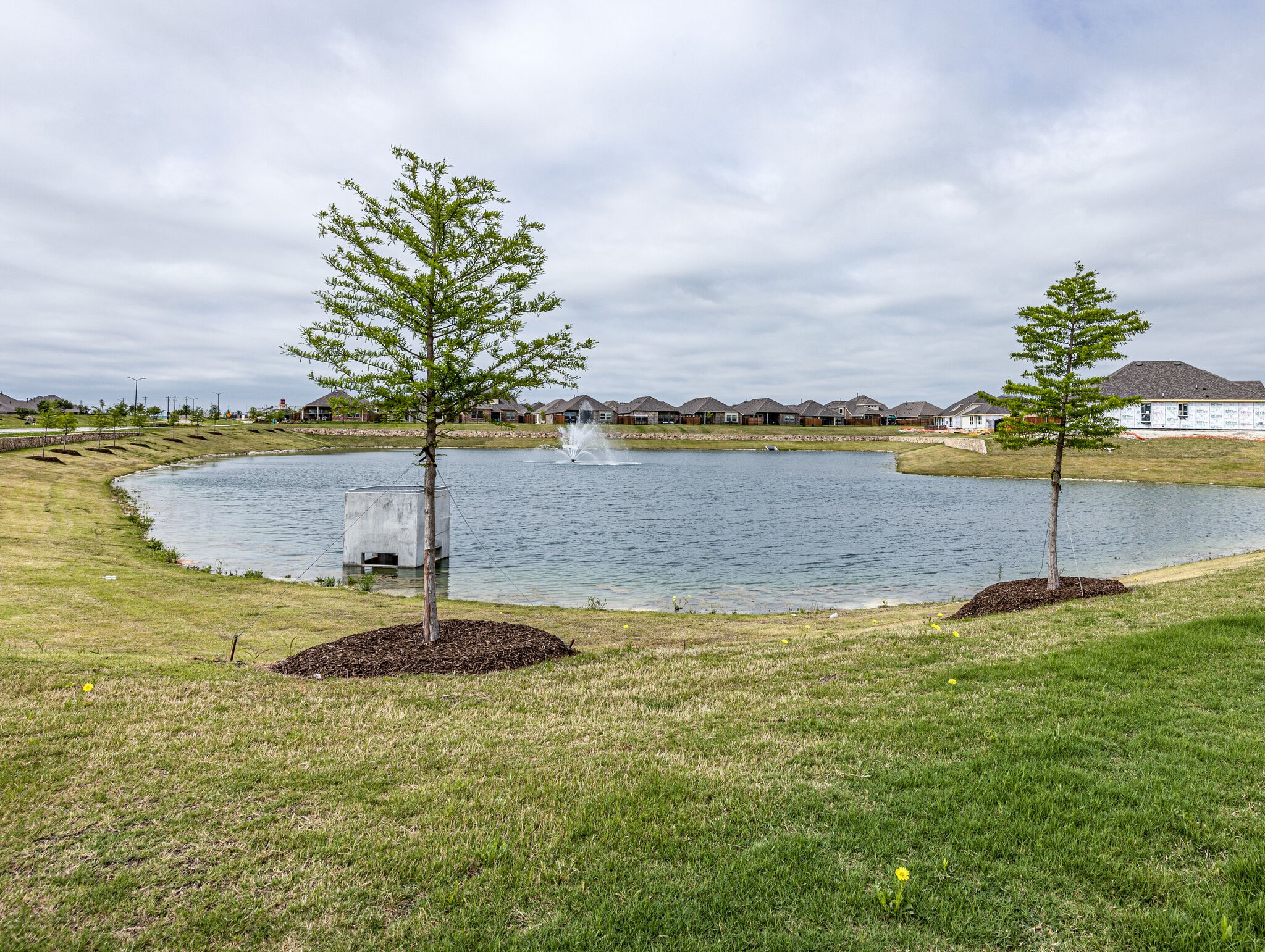 1416 Elizabeth Street Anna TX 75409