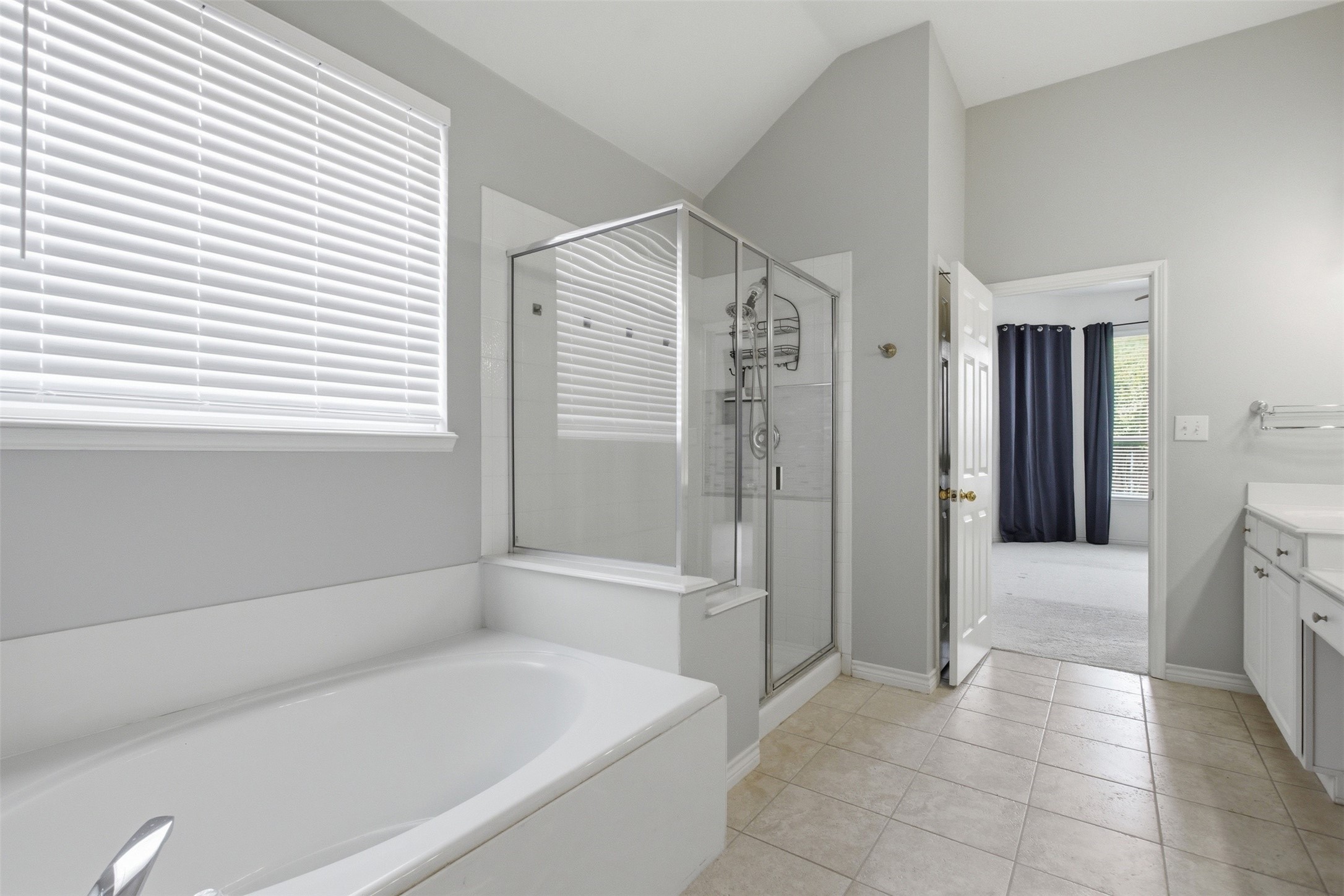 3207 Warwick Court Wylie TX 75098
