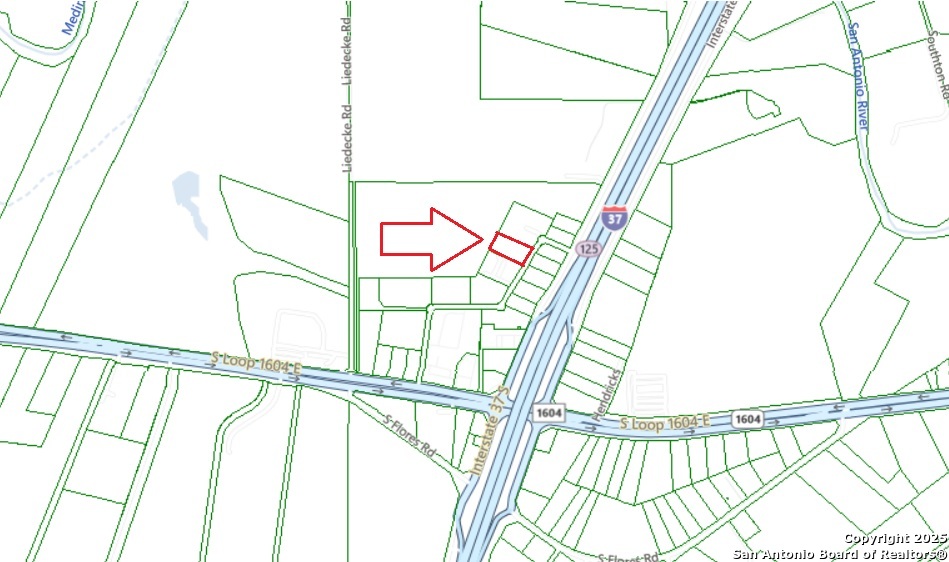 20011 Eagle Ford Elmendorf TX 78112