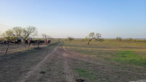 210 E Loop 1604 S Adkins TX 78101
