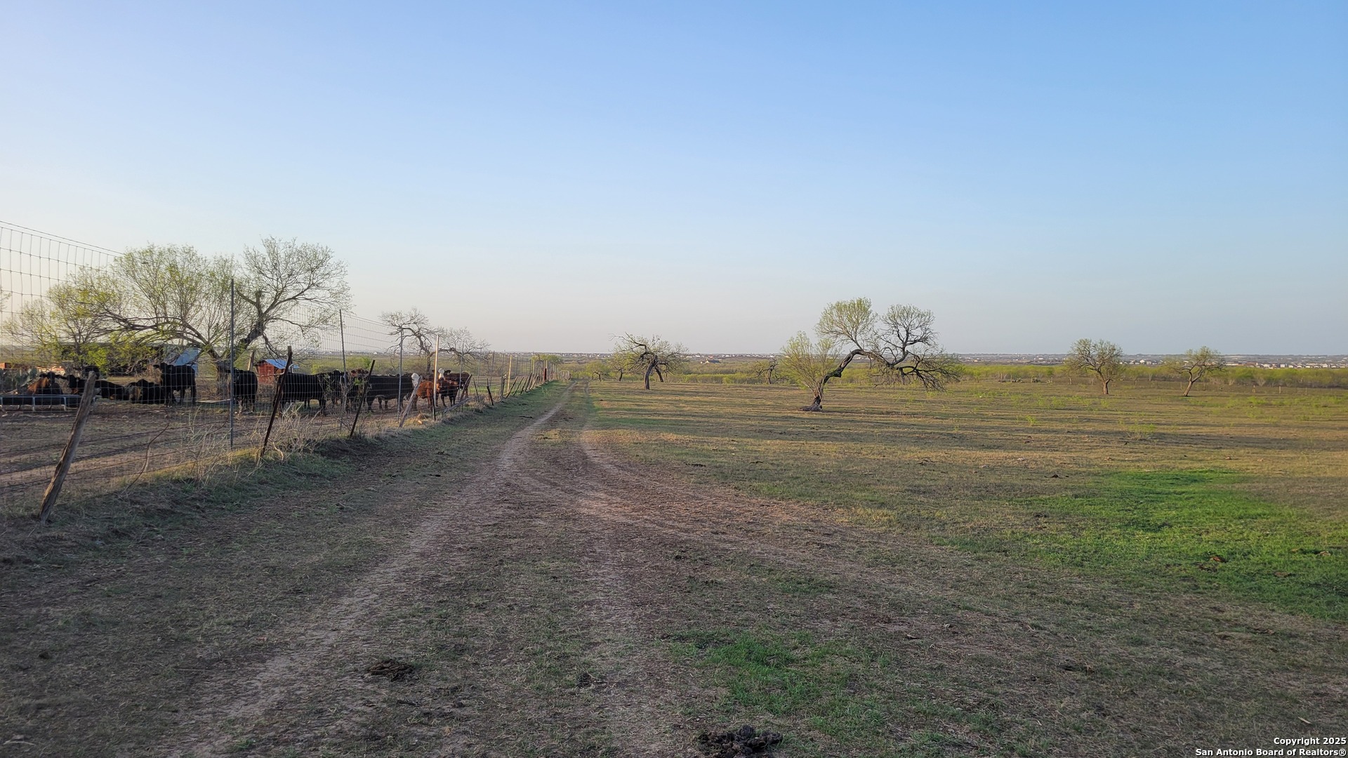 210 E Loop 1604 S Adkins TX 78101