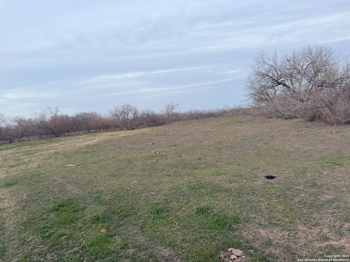 210 E Loop 1604 S Adkins TX 78101