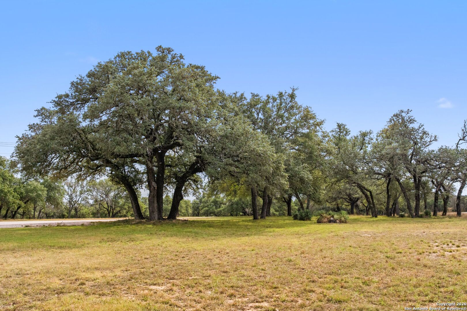 214 Edmonds Avenue Johnson City TX 78636