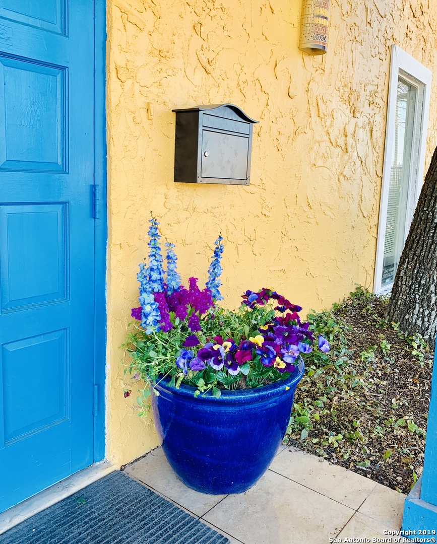 126 Lanark Drive San Antonio TX 78218