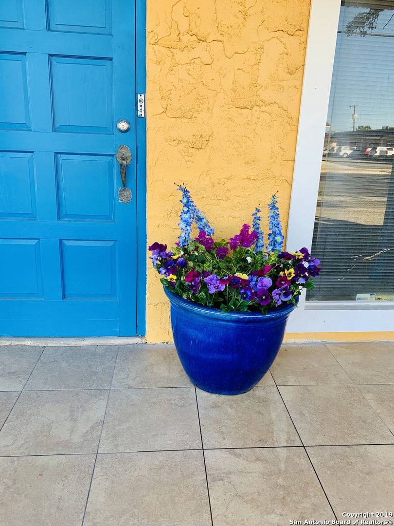 126 Lanark Drive San Antonio TX 78218