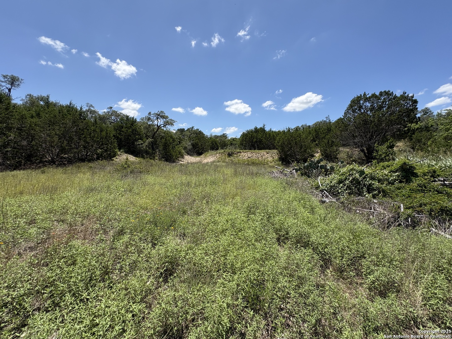 184 Peyton Colony Blanco TX 78606