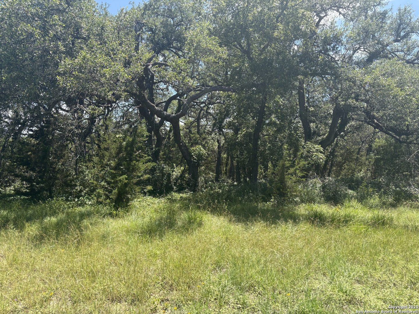 184 Peyton Colony Blanco TX 78606