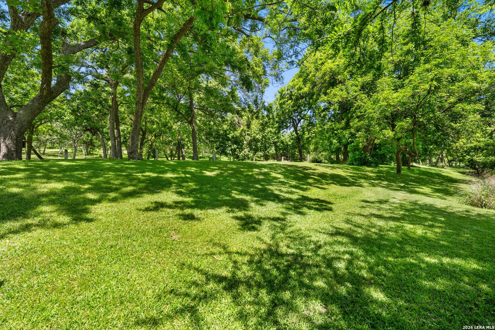 1242 Ervendberg Ave - Lot 5 New Braunfels TX 78130