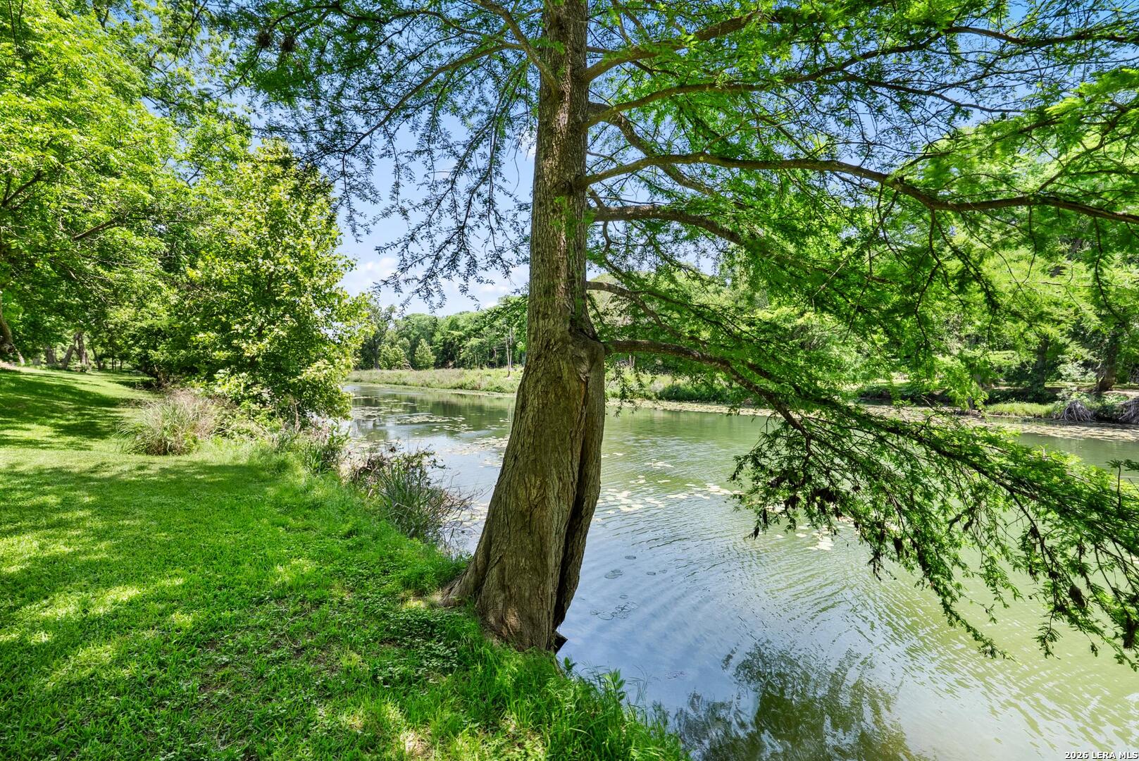 1242 Ervendberg Ave - Lot 5 New Braunfels TX 78130