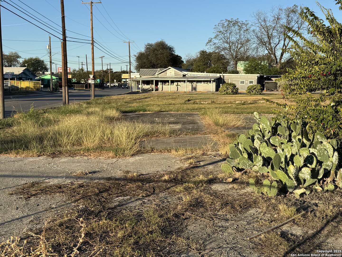 407 Castroville San Antonio TX 78207