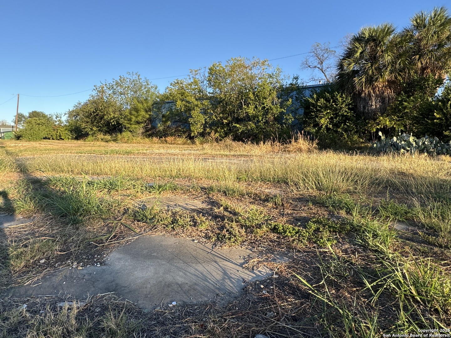 407 Castroville San Antonio TX 78207