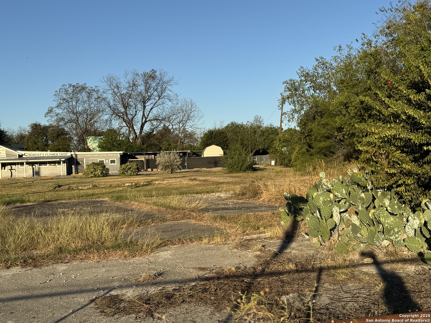 407 Castroville San Antonio TX 78207