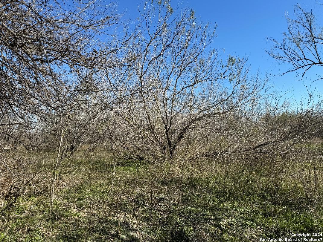 0 Castroville Road San Antonio TX 78236