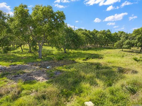 32670 Fm 3351 Boerne TX 78006
