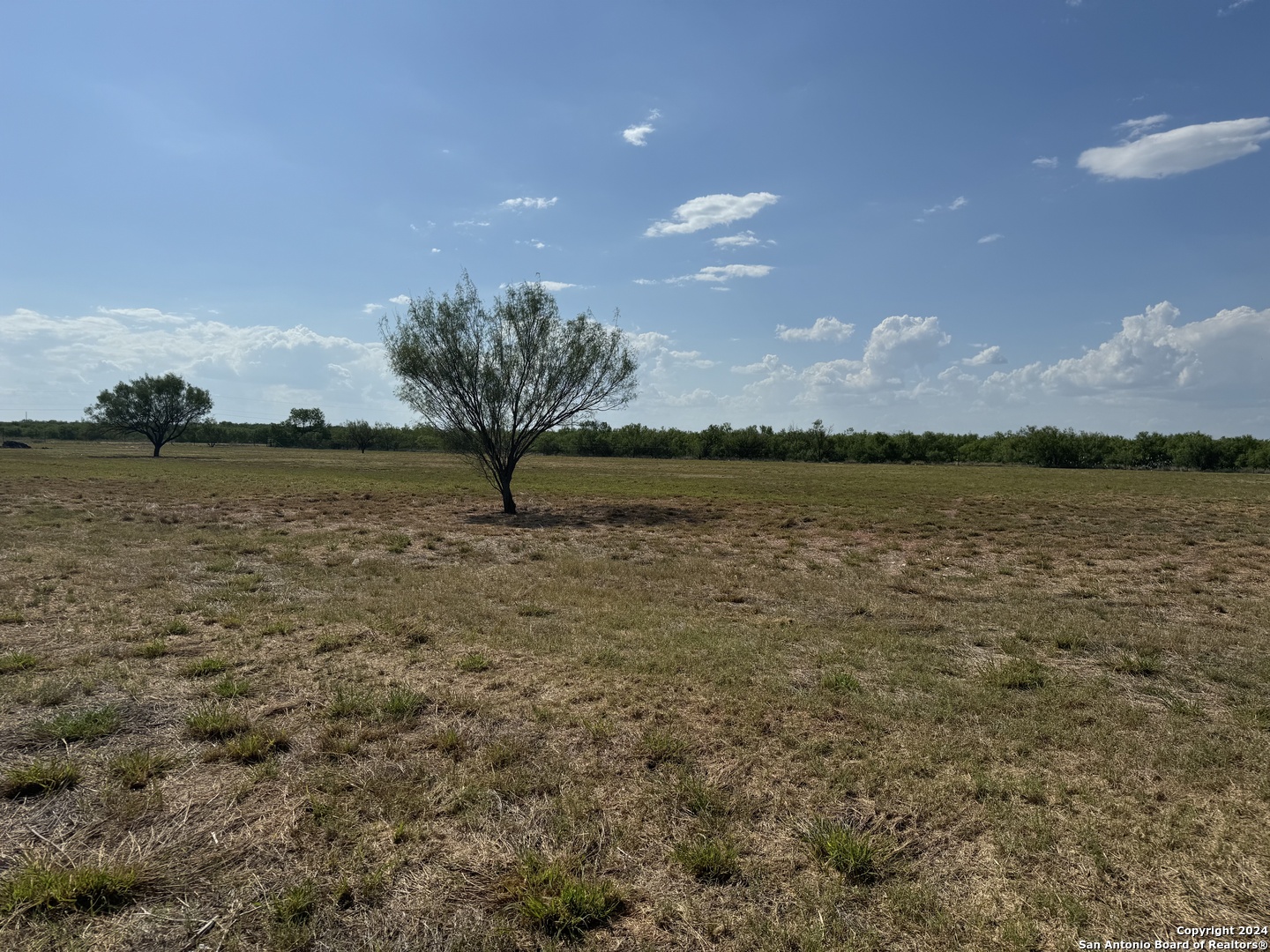 4303 Us Highway 83 Crystal City TX 78839