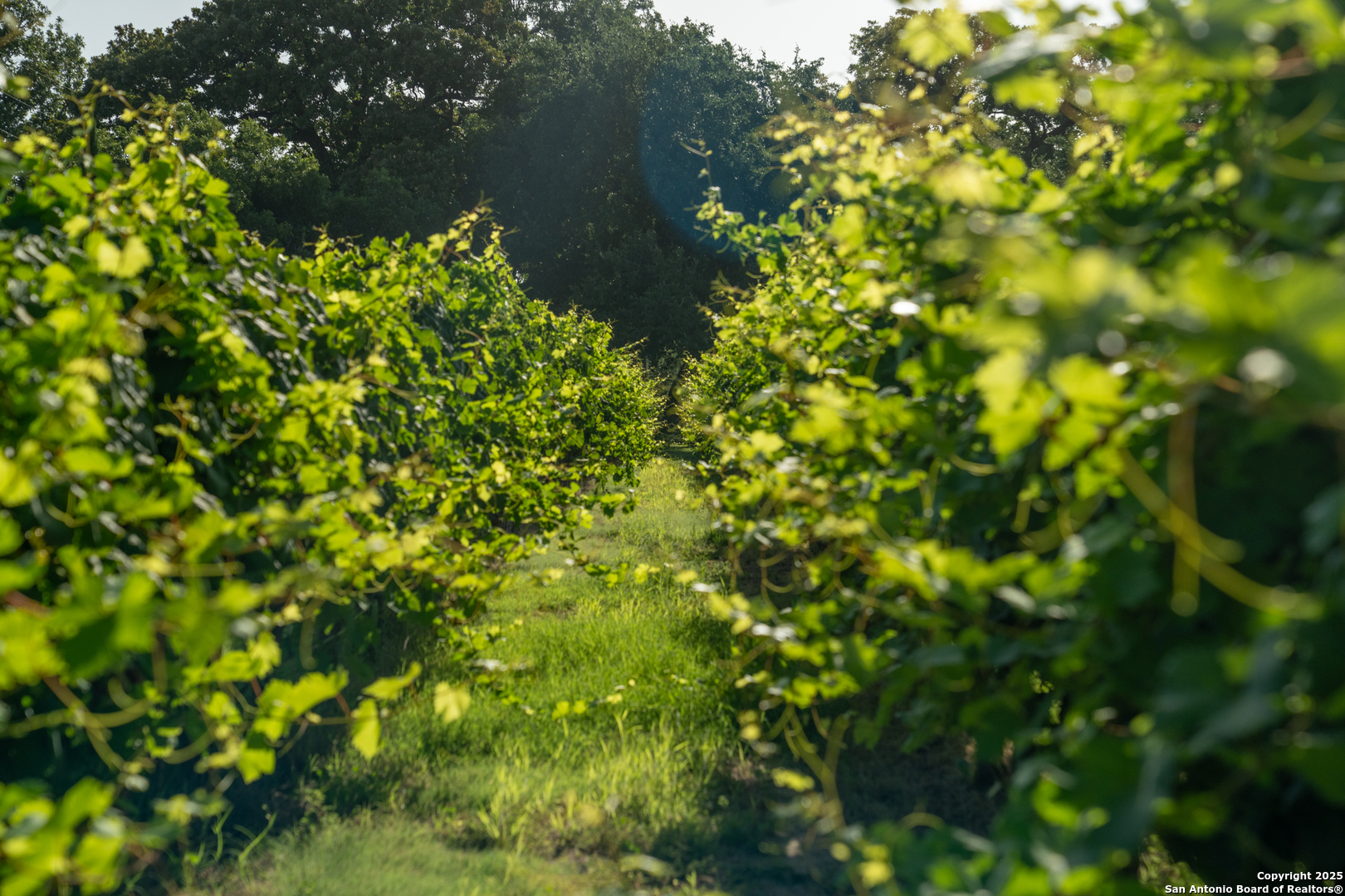 5000 Cralle Road Other TX 76935