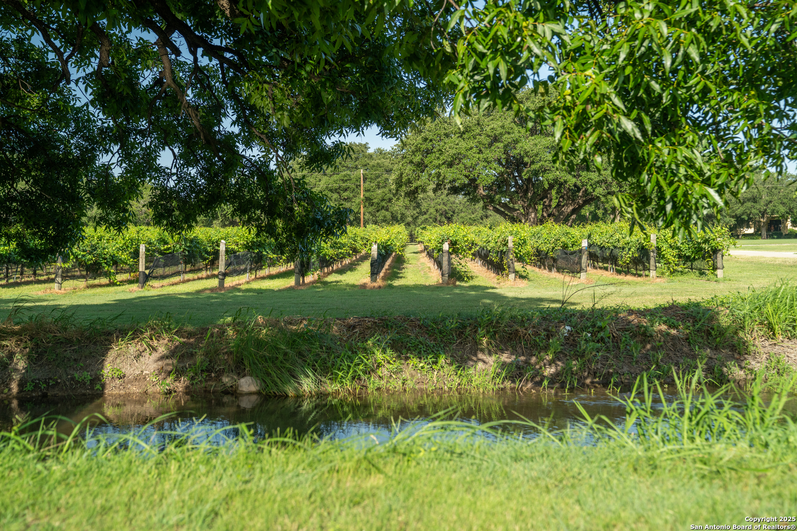 5000 Cralle Road Other TX 76935