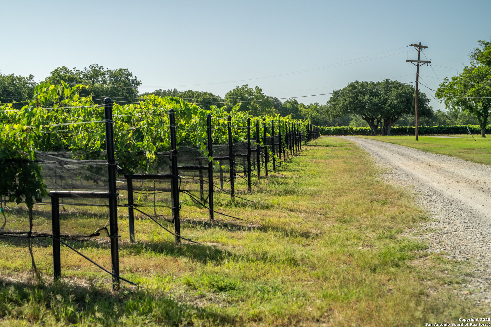 5000 Cralle Road Other TX 76935