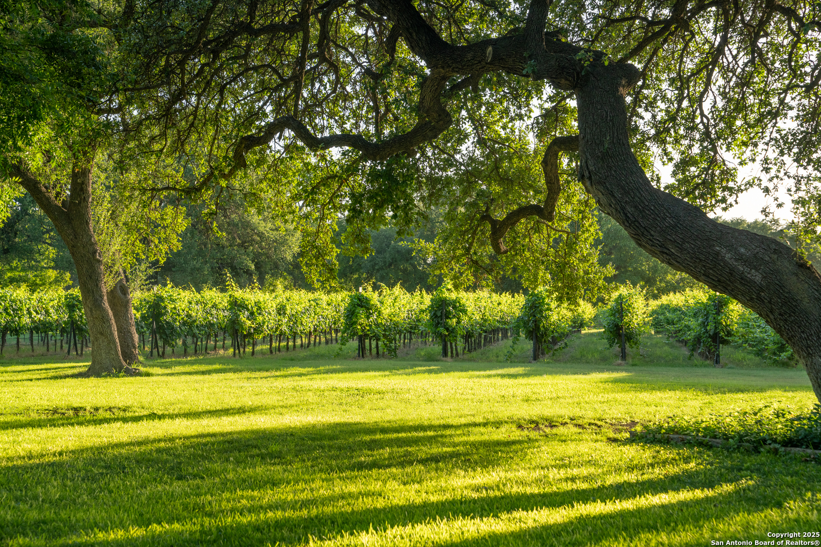 5000 Cralle Road Other TX 76935