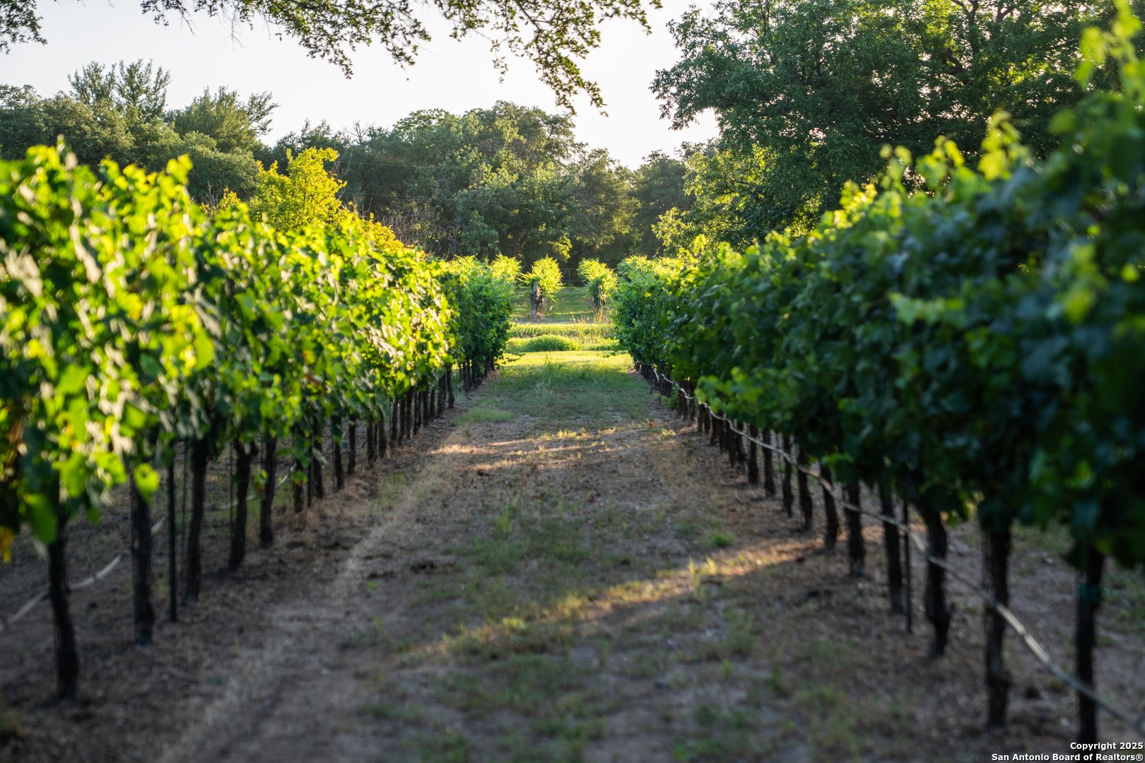 5000 Cralle Road Other TX 76935