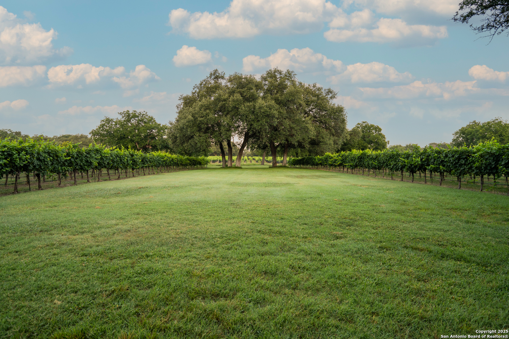 5000 Cralle Road Other TX 76935