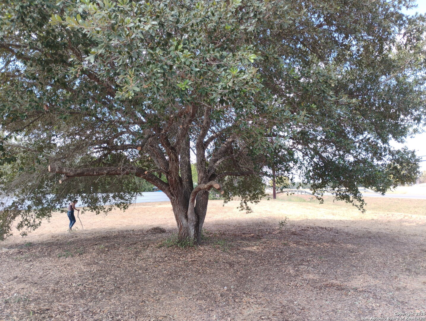 17095 Old Corpus Christi Elmendorf TX 78112