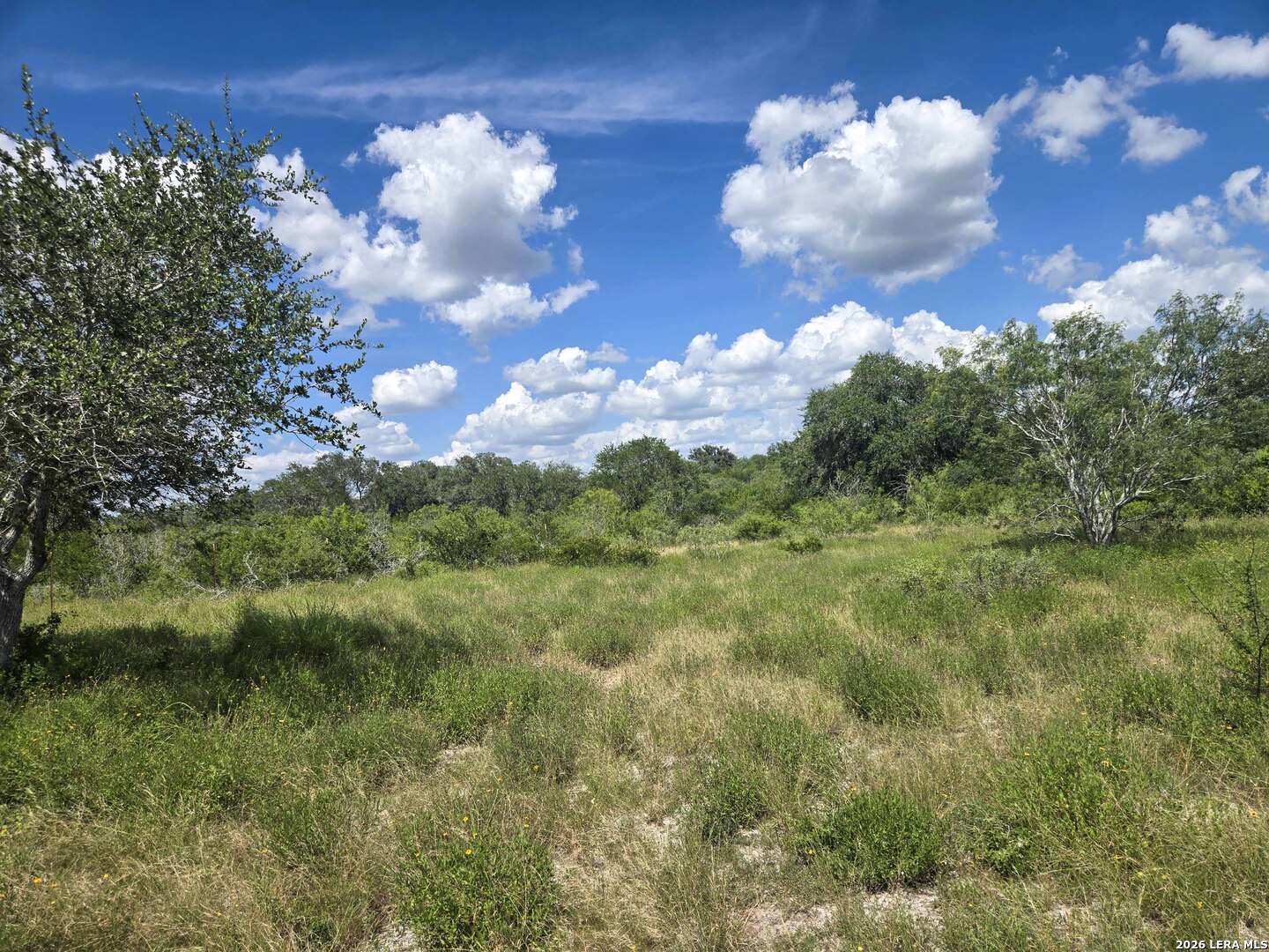 6147 Charco Road Tuleta TX 78162