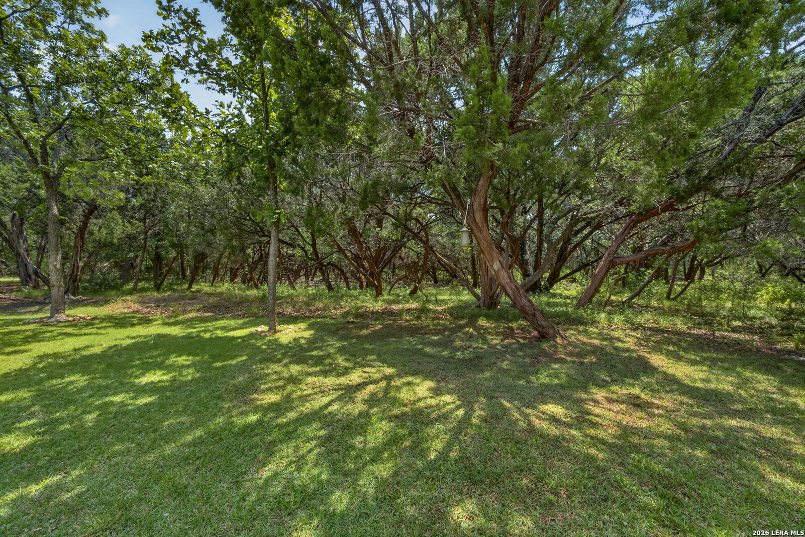 16007 Via Shavano San Antonio TX 78249