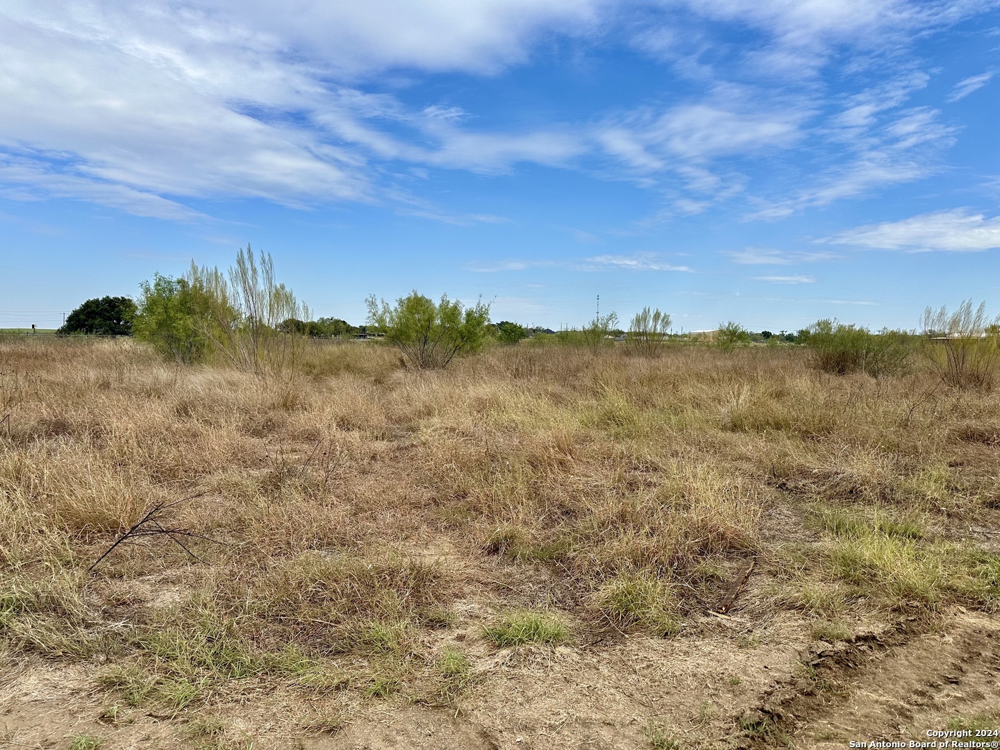 536 Old Adams Lane Pleasanton TX 78064