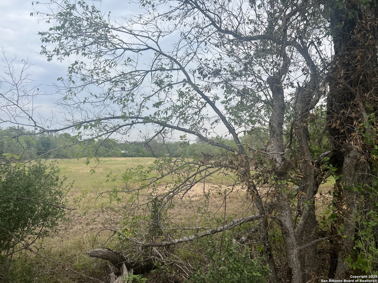 4853 Higdon San Antonio TX 78223