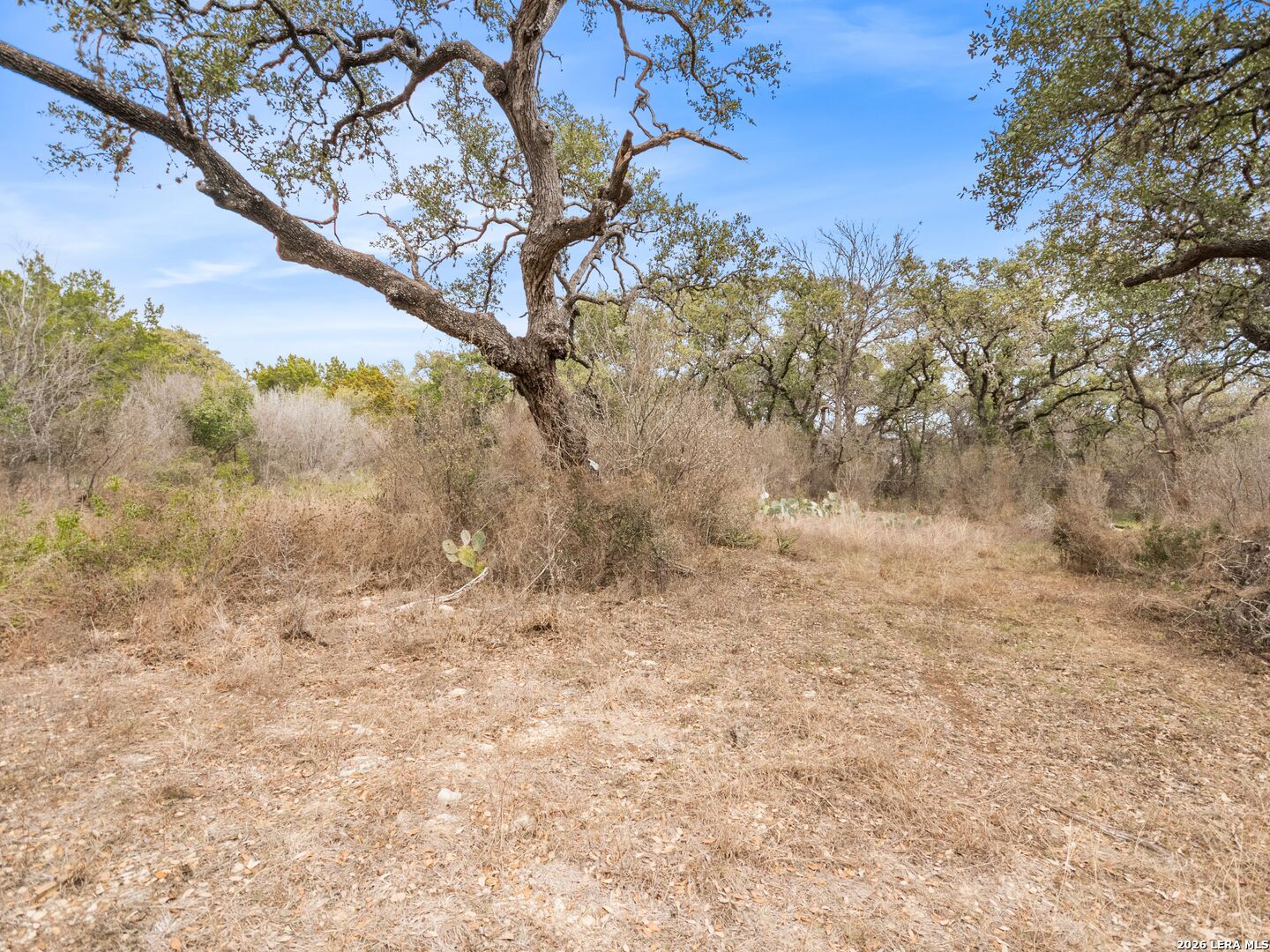 14235 Blanco San Antonio TX 78216