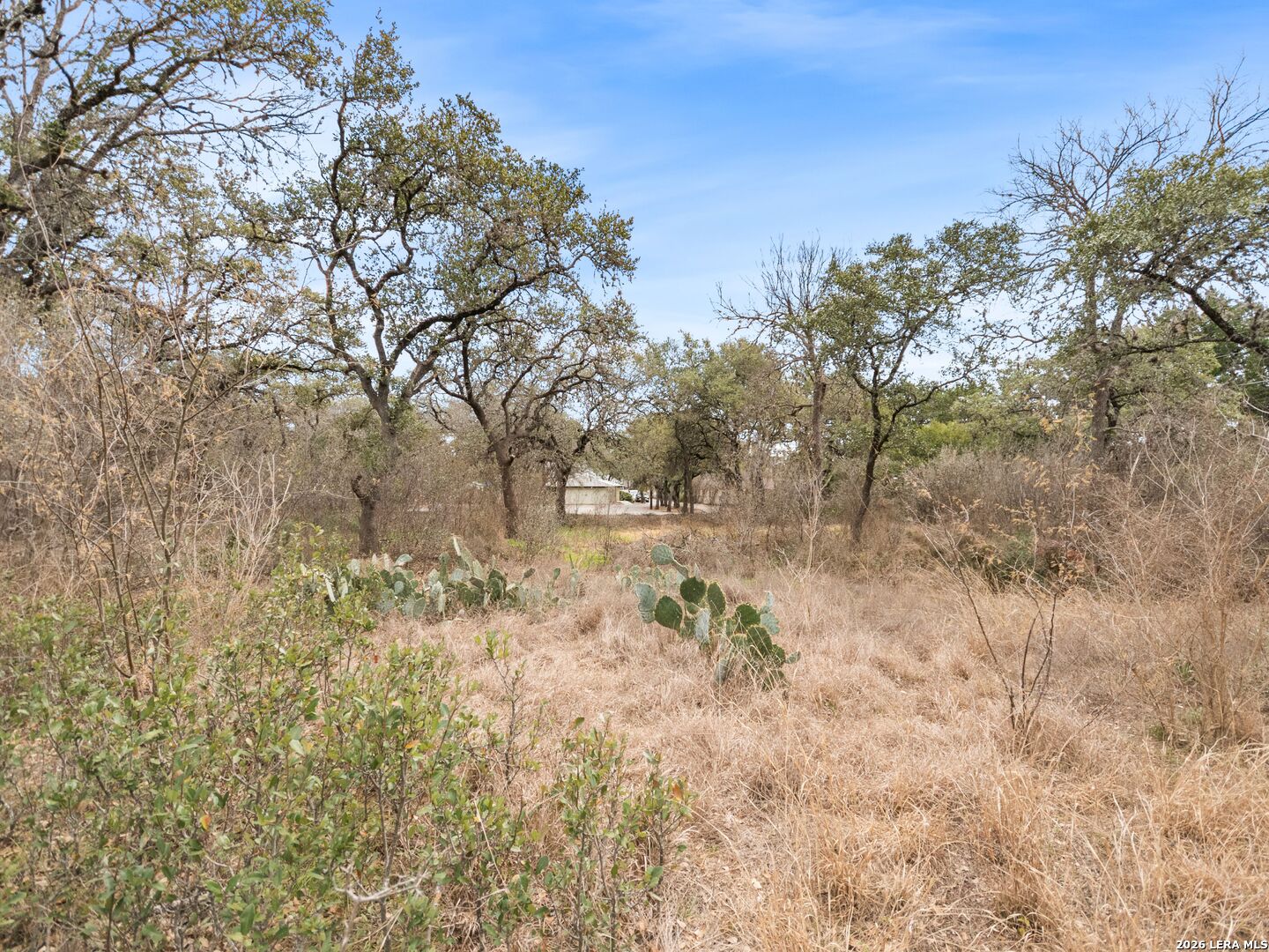 14235 Blanco San Antonio TX 78216