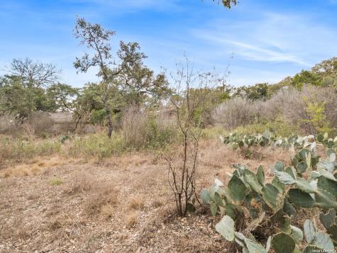 14235 Blanco San Antonio TX 78216