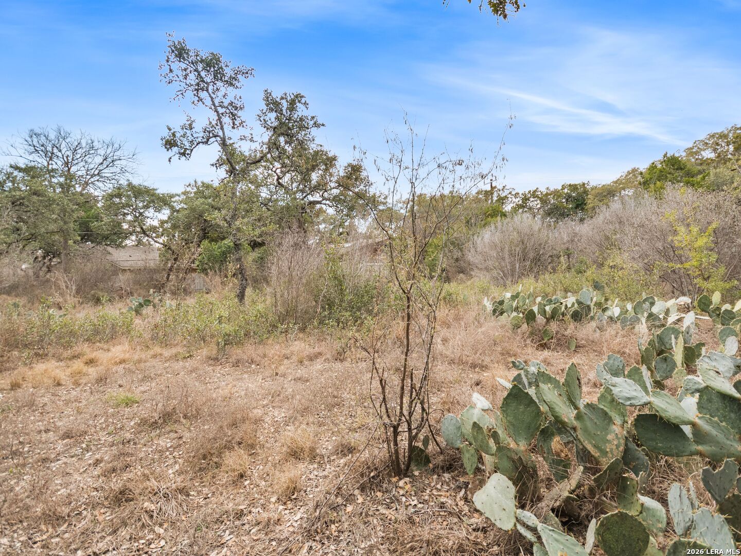 14235 Blanco San Antonio TX 78216