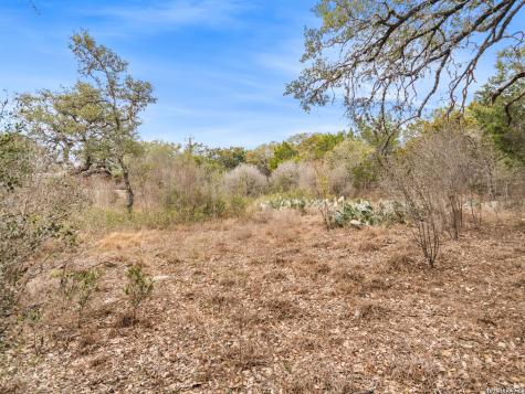 14235 Blanco San Antonio TX 78216