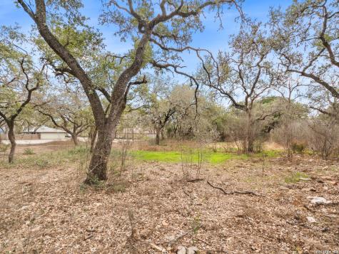 14235 Blanco San Antonio TX 78216