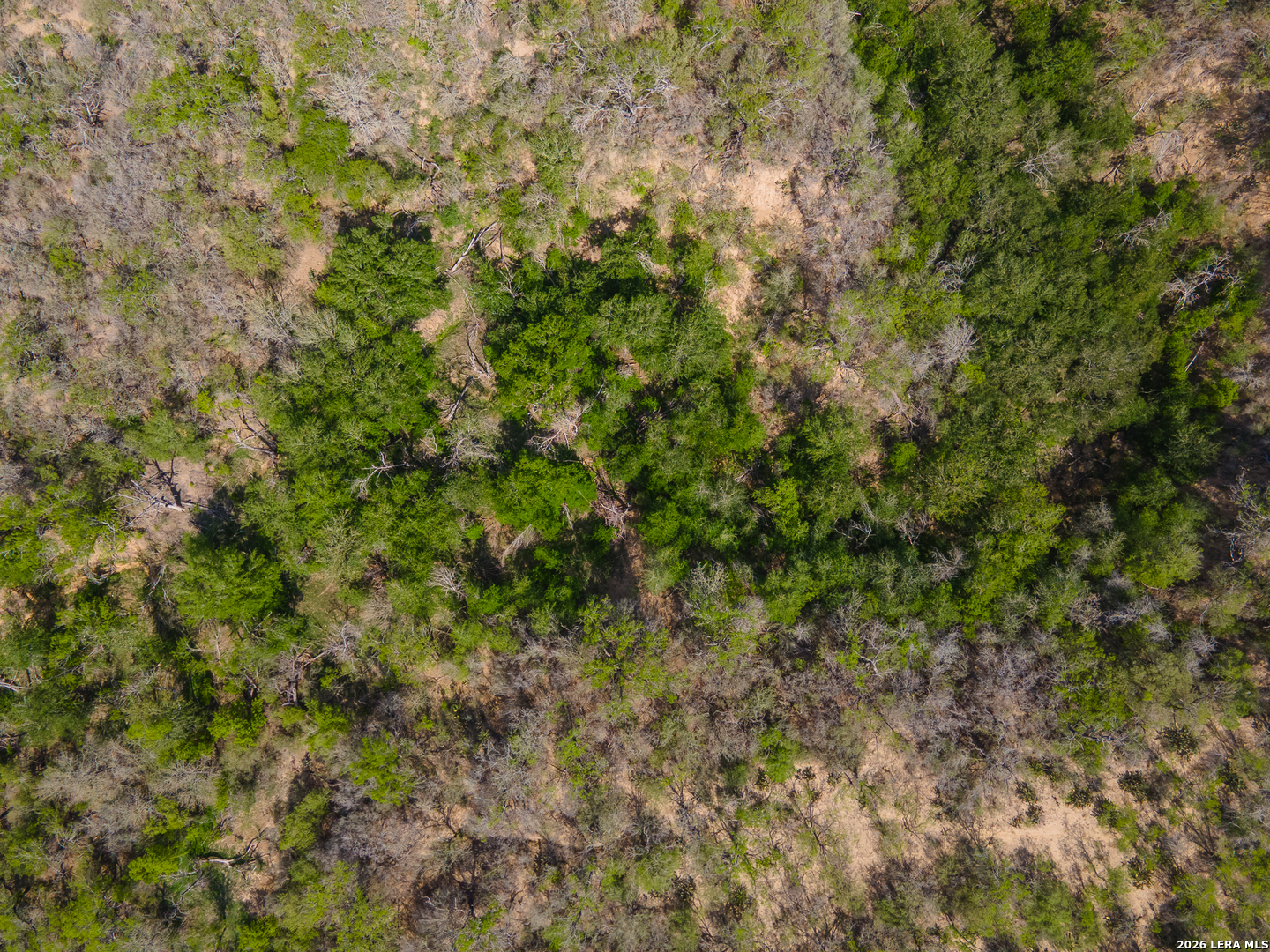 4984 S Loop 1604 Elmendorf TX 78112