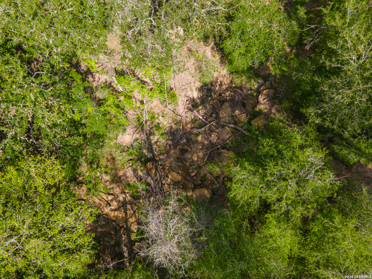 4984 S Loop 1604 Elmendorf TX 78112