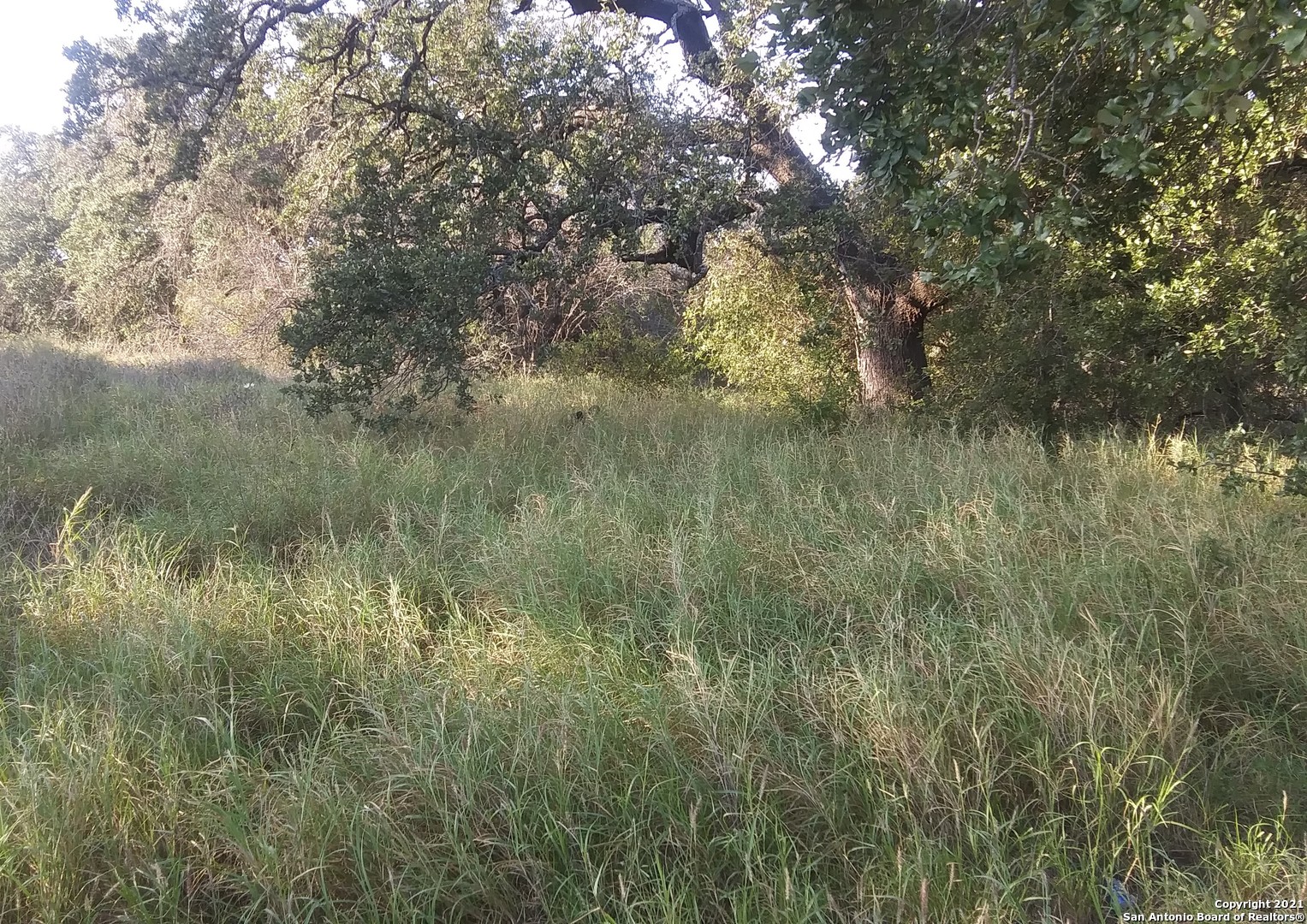 000 N Sh 16 & W Ditto Poteet TX 78065