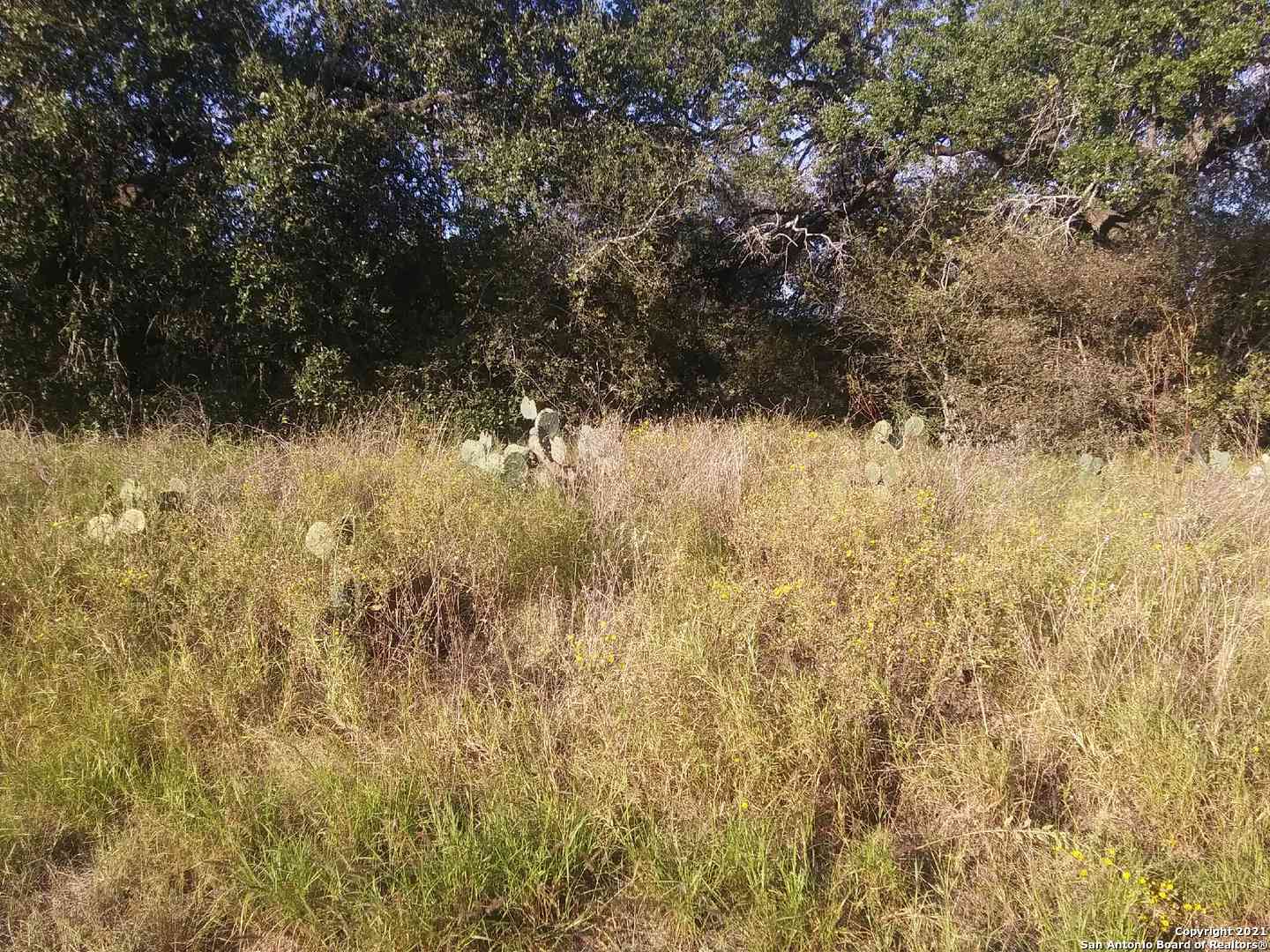 000 N Sh 16 & W Ditto Poteet TX 78065
